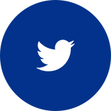 sistema erp twitter logo azul